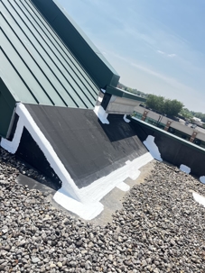 Seamless Roofing